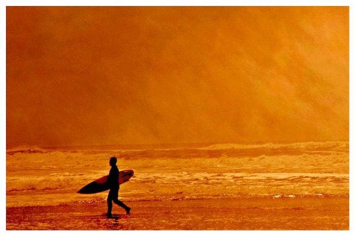 Roberto Cavalli (Italia, 1971) - XXL - Somewhere, by the, Antiek en Kunst, Kunst | Designobjecten