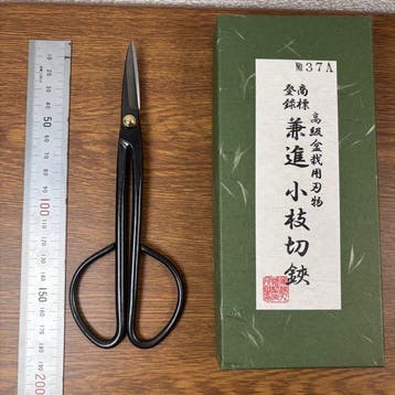Japanese Bonsai & Ikebana Shears Set CA379 Wabi Sabi Japan -