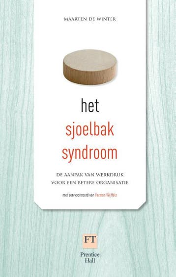 Het sjoelbaksyndroom 9789043021937 Maarten de Winter, Verzenden, Zo goed als nieuw, Maarten de Winter