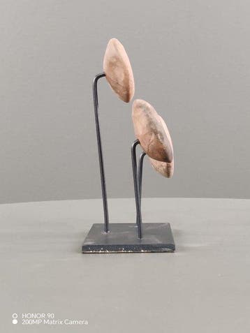 Noord-India – oud-Bengalen, type Chandraketugarh Terracotta