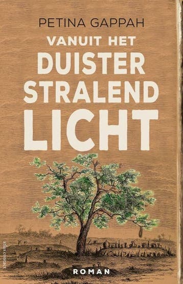 Vanuit het duister stralend licht (9789025453978), Verzenden, Nieuw