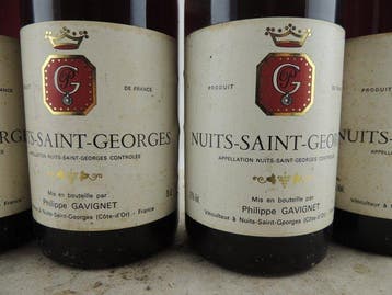 1991 Domaine Philippe Gavignet - Nuits St. Georges - 6, Verzamelen, Nieuw