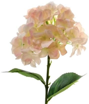 Hortensia Hydrangea Peach Zijdenbloem Single 45 cm, Nieuw