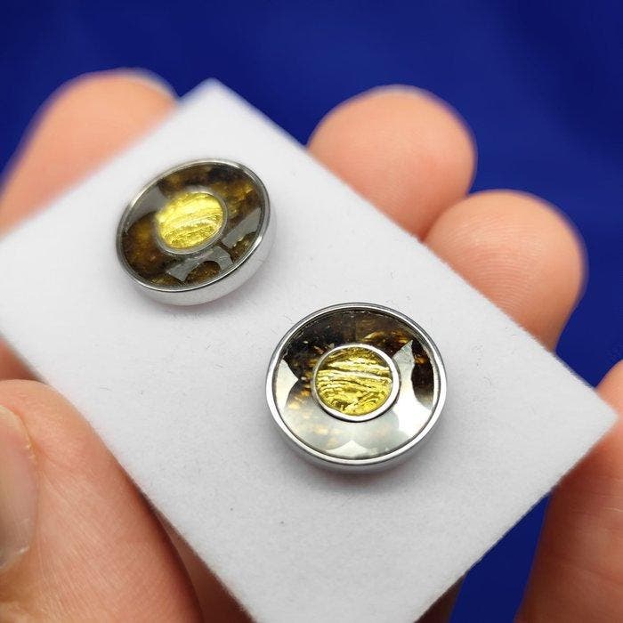 Oorbellen, pallasiet-ijzer meteoriet (goudverguld) De beste, Verzamelen, Mineralen en Fossielen