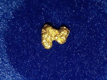 Massief kwaliteitsjuweel - Goudnugget - Yukon Goud nugget -, Verzamelen