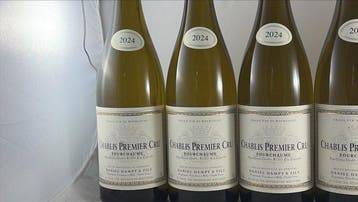 2024 Domaine Daniel Dampt Fourchaume - Chablis 1er Cru - 6