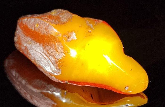 Baltisch amber - Hoogwaardige AAA- 94 g, Verzamelen, Mineralen en Fossielen