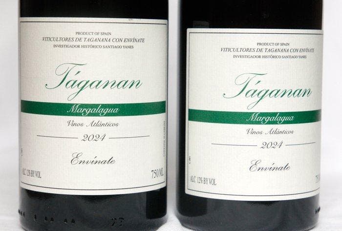 2024 Envinate, Taganan Parcela Margalagua - Ténérife, Îles, Verzamelen, Wijnen