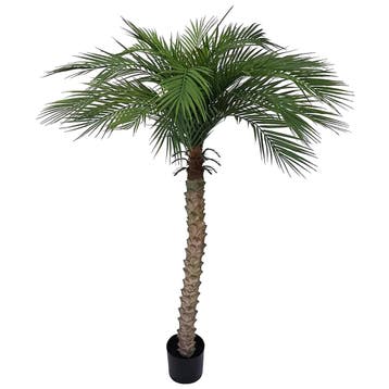 Kunstplant | HAWAII PALM | Groen | Indoor | 1500/2000(h)mm, Verzenden, Nieuw in verpakking