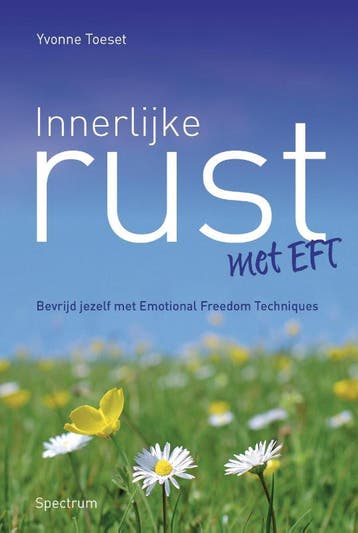 Innerlijke rust met EFT 9789049105884 Yvonne Toeset, Verzenden, Yvonne Toeset