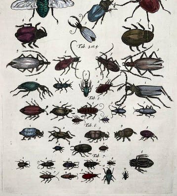 Matthäus Merian (1593-1650) - hand coloured engraving: