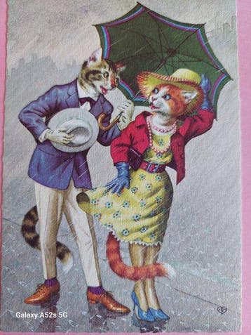 België - Dieren - Kunzli Katjes - Ansichtkaart (23) -, Collections