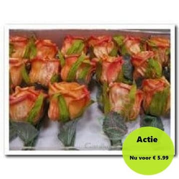 Foamroos Elegant Oranje Comb 5 cm doosje 36 stuks, Nieuw
