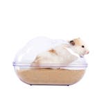 Grote Hamster Gerbil Kunststof Zandbak - Afgesloten Huisje B, Verzenden
