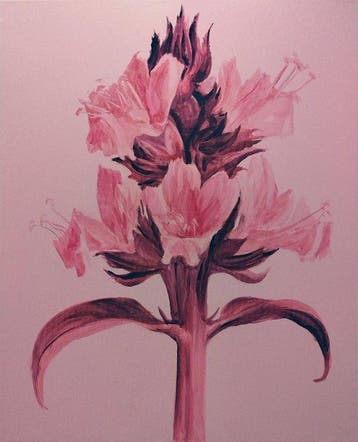 Della Goinne - Plant Portrait No.2 - Ocimum Basilicum - XL -