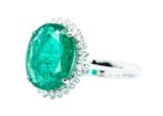 Bague - 14 carats Or blanc, Vert intense/vif (Zambie) -