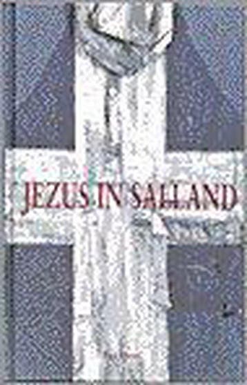 JEZUS IN SALLAND 9789025947644 HEIDEVELD, Boeken, Godsdienst en Theologie, Verzenden, Gelezen, HEIDEVELD