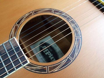 Indie - J Pro The Sound Jumbo Bird of Paradise - - Guitare, Musique & Instruments