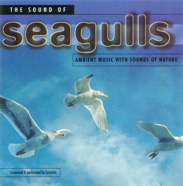 Levantis - The Sound Of Seagulls, CD & DVD, CD | Pop, Envoi