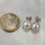 Zonder minimumprijs - Oorbellen Zilver Parel - Southsea RD Ø, Handtassen en Accessoires, Oorbellen, Nieuw
