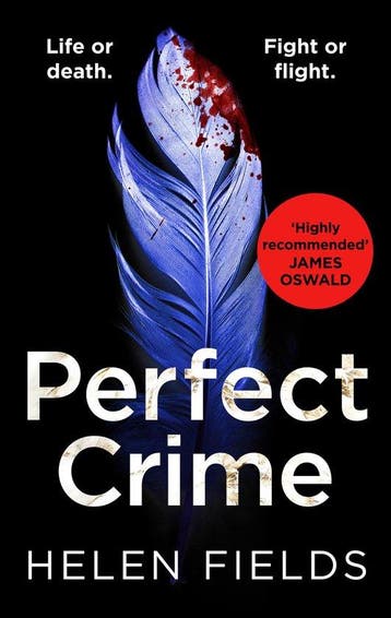 Perfect Crime 9780008275204 Helen Fields, Verzenden, Helen Fields