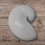 Nautilus schelp Resin Wit 5x8x5 cm per stuk, Nieuw