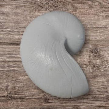 Nautilus schelp Resin Wit 5x8x5 cm per stuk