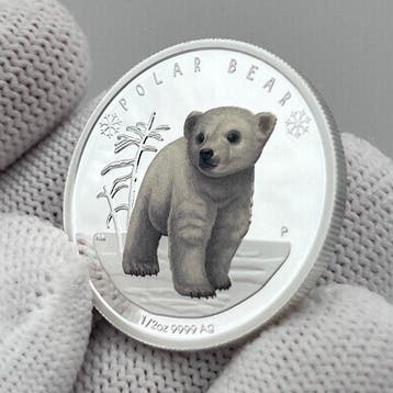 Tuvalu. 50 Cents 2017 – Polar Babies: Polar Bear – 1/2 oz