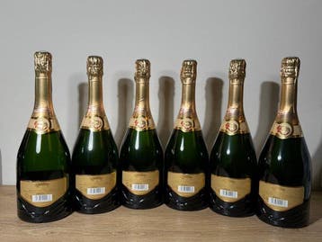 Vranken, Demoiselle Vranken - Champagne Brut - 6 Flessen, Verzamelen, Nieuw