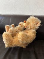 Schildkröt-Puppen - Jouet Schildkröt Teddy-Bären Schau mir