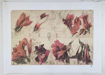 Horst Janssen (1929-1995) (after) - Tagebuch einer