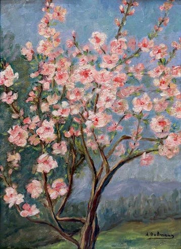 Alex Dubmann (XXème) école française - Pêchers en fleurs au