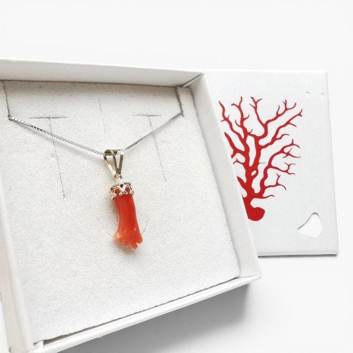 Corail - Argent - Collier avec pendentif - Gravure, Collections, Minéraux & Fossiles