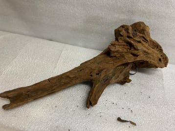 Am 669 Fine Sinkingwood 37x15x9cm aquarium decoratie hout, Verzenden, Plant(en), Steen of Hout