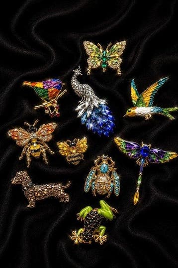 Uitstekende thematische collectie van 10 broches met zeer