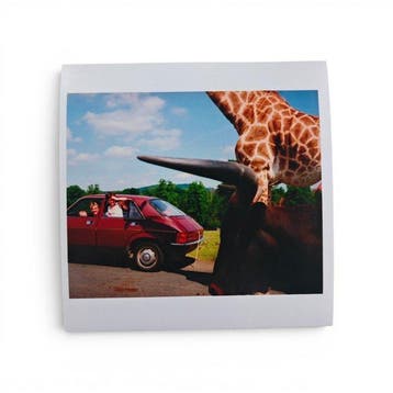 Martin Parr (1952 - 2025) - Knowsley Safari Park, England,