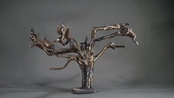 Corné Nuham - Tamariz 1