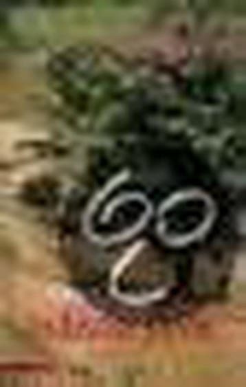 INDISCHE JAREN 9789045004549 A. Zikken, Verzenden, Gelezen, A. Zikken