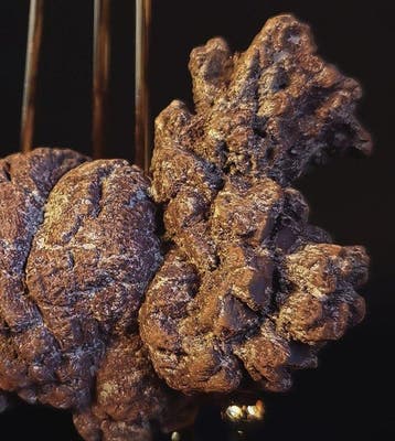 239 g fossiel coproliet van dinosaurus of gewerveld dier uit