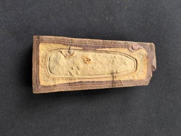 Fossiele tand - Lot of 5 Authentic Fossils (Zonder
