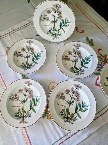 Villeroy & Boch - Botanica – 6-Piece Vintage Pasta & Bake