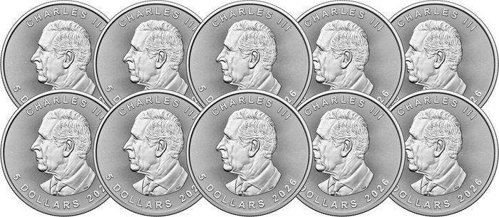 10 troy ounce - Zilver .999 - Maple Leaf 2026 - 311 gram -, Timbres & Monnaies, Métaux nobles & Lingots