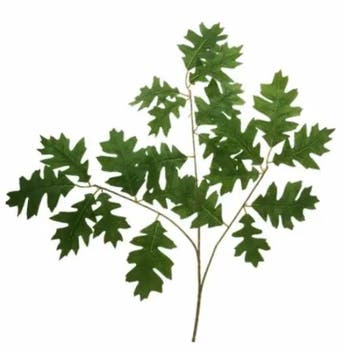 Eikenblad tak Groen 63 cm per stuk, Nieuw