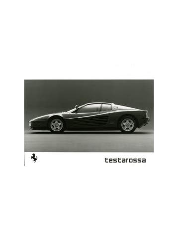 1984 FERRARI PROGRAMMA PERSMAP DUITS 325/84, Ophalen of Verzenden, Nieuw