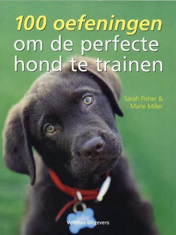 100 oefeningen om de perfecte hond te trainen 9789048300907, Verzenden, M. Miller