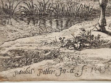 Paulus Potter (1625–1654) - Il mandriano e le vacche