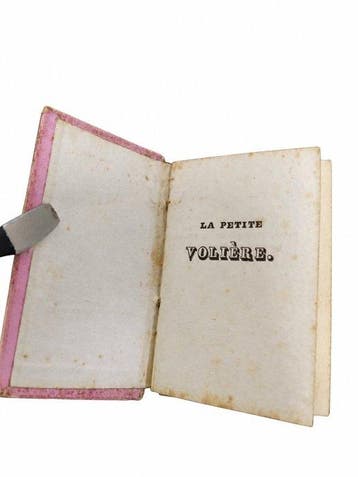 Non attribué - La Petite Volière - 1820