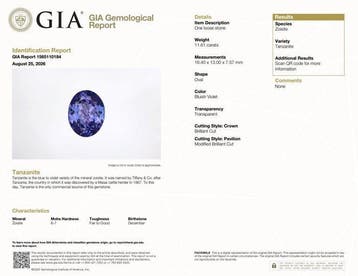 1 pcs Violet, Bleu Tanzanite - 11.61 ct - Gemological