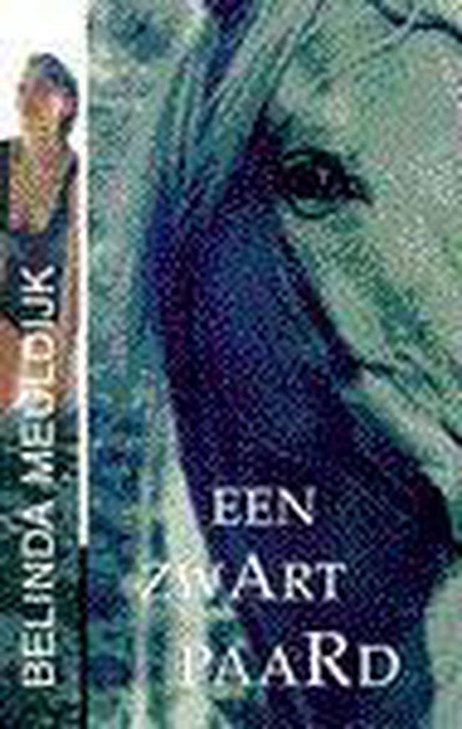 ZWART PAARD 9789032506728 B. Meuldijk, Livres, Romans, Envoi