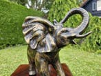 Sculpture, Prachtige bronzen olifant , Olifant van brons -